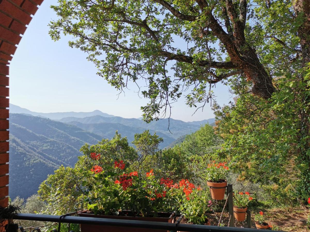 L'Albero Del Cioccolato Bed & Breakfast Pigna Exterior photo