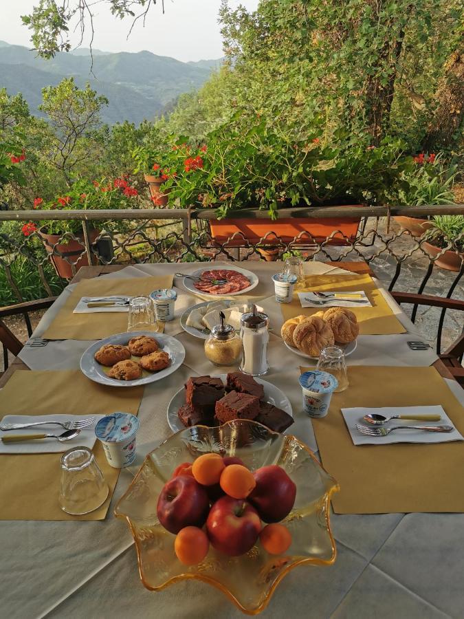 L'Albero Del Cioccolato Bed & Breakfast Pigna Exterior photo